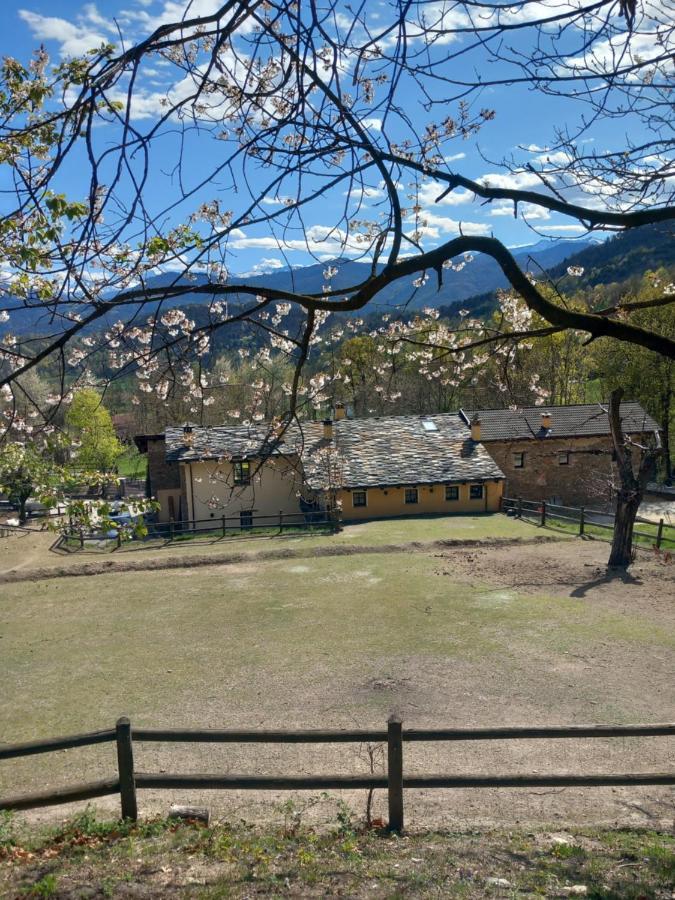 Country House Le Gaie Allegre Villar San Costanzo Экстерьер фото